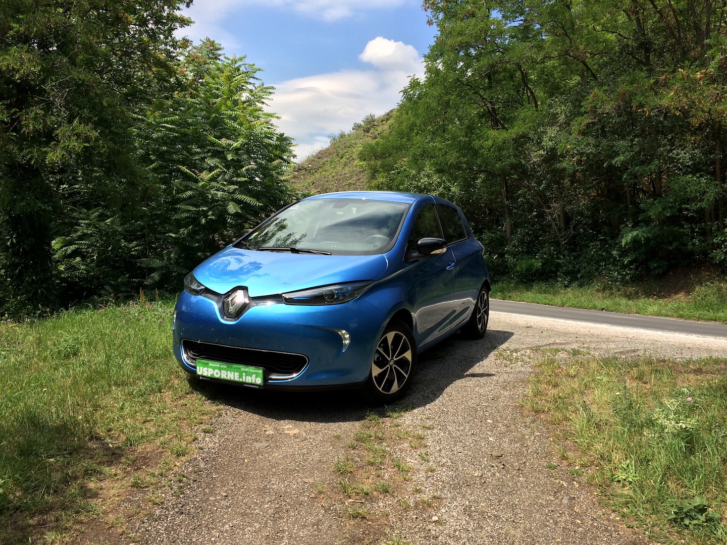 Renault ZOE R110