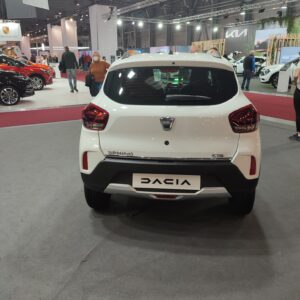 Dacia Spring zezadu